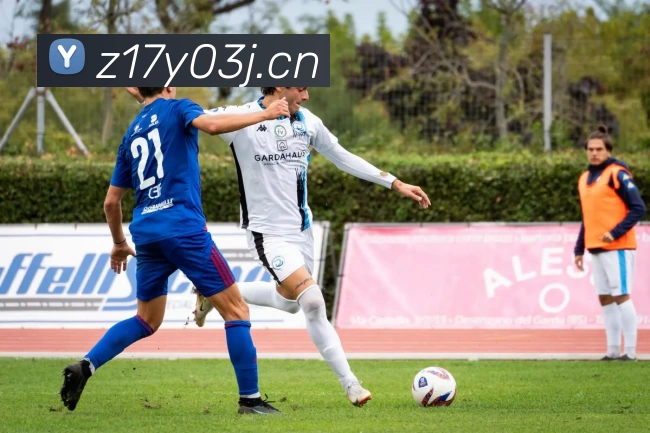 滚球买球的app官网发展历程